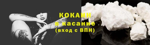 крисы Корсаков