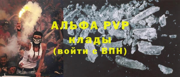 PSILOCYBIN Дубовка