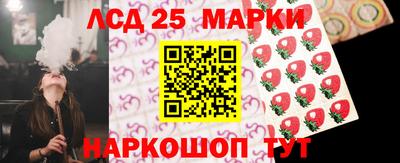 гидра Братск