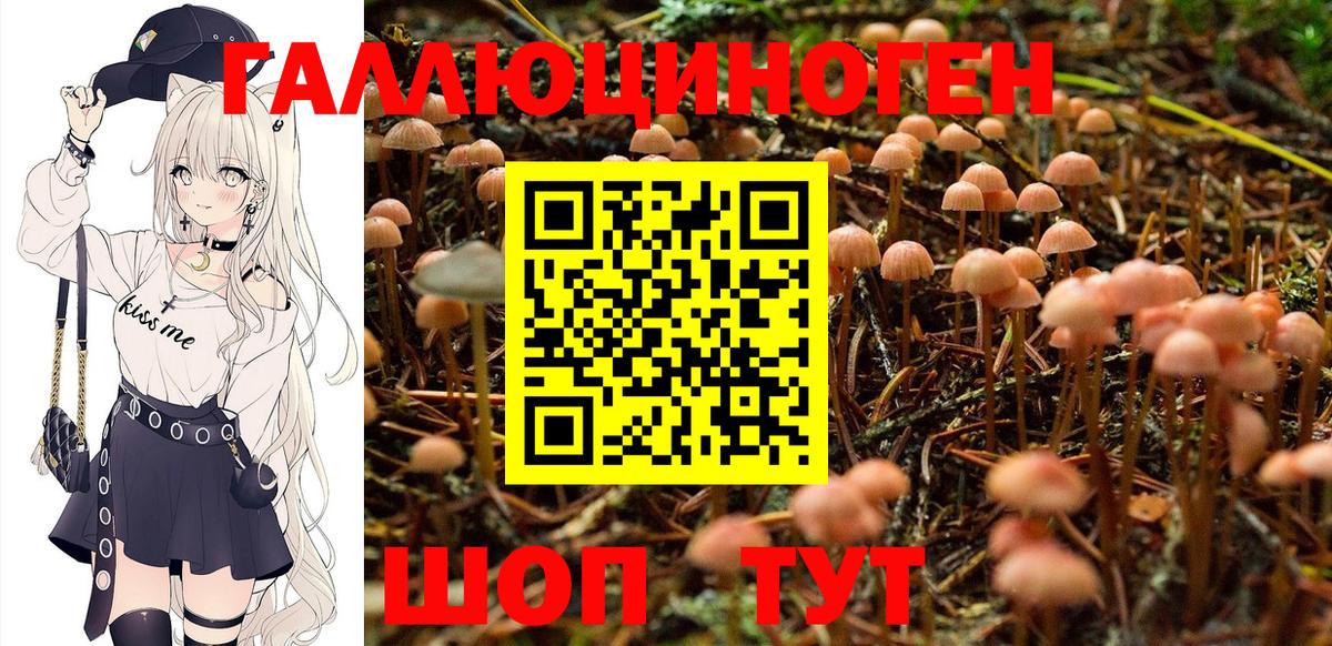 где можно купить   Псилоцибиновые грибы мухоморы  Красноперекопск  Вход с VPN  Псилоцибиновые грибы прущие грибы 