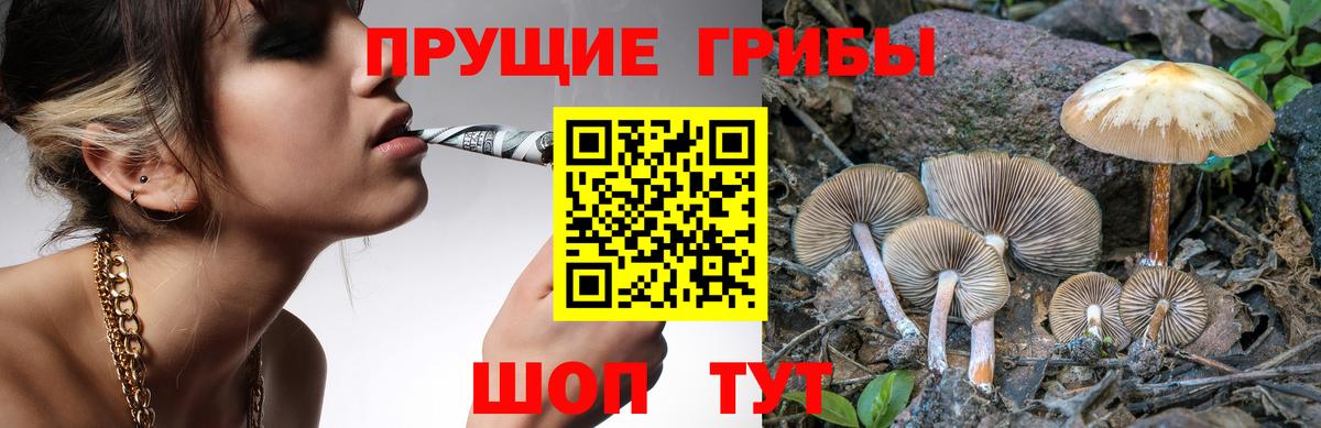 Галлюциногенные грибы мицелий Красноперекопск